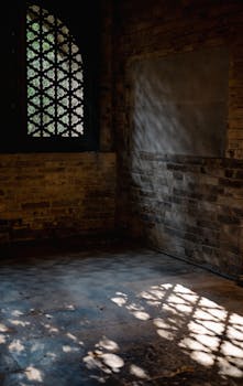 国民经济开局良好；工业服务业加速回暖，消费投资稳步恢复