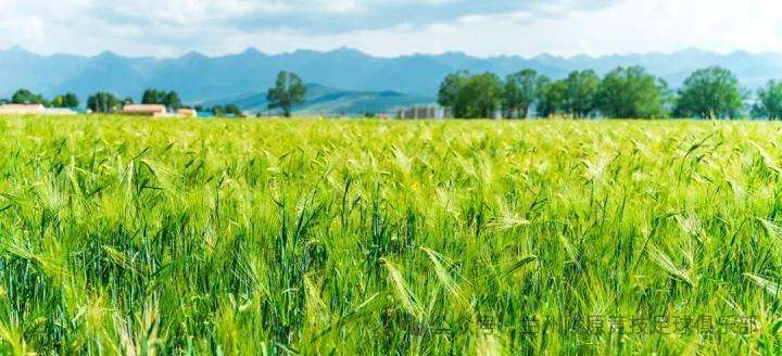  高原醇香遇绿茵激情，天佑德青稞酒携手兰州陇原竞技；开启2026赛季全新征程。 体育新闻 高原醇香遇绿茵激情，天佑德青稞酒携手兰州陇原竞技；开启2026赛季全新征程。 体育新闻