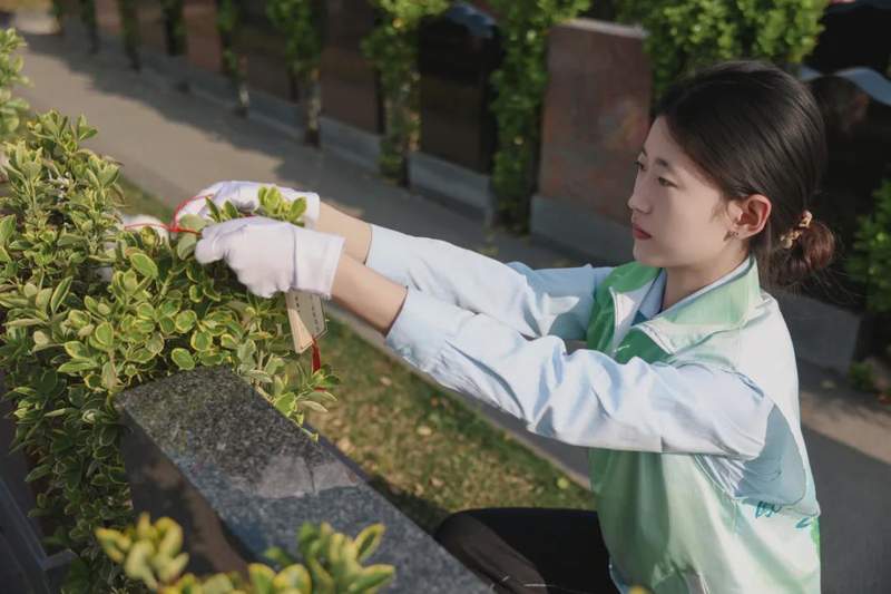  职业规划者：冷门殡葬专业的就业突围之路 教育招生