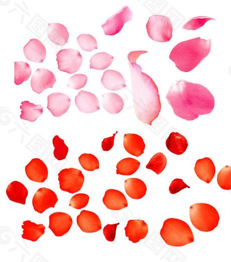  市场动荡与人性博弈：当“连锁反应”冲击投资信仰 股票财经