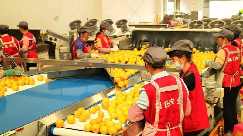  达成协议之后，我们该如何看待这份全球贸易的新棋局？ 新闻