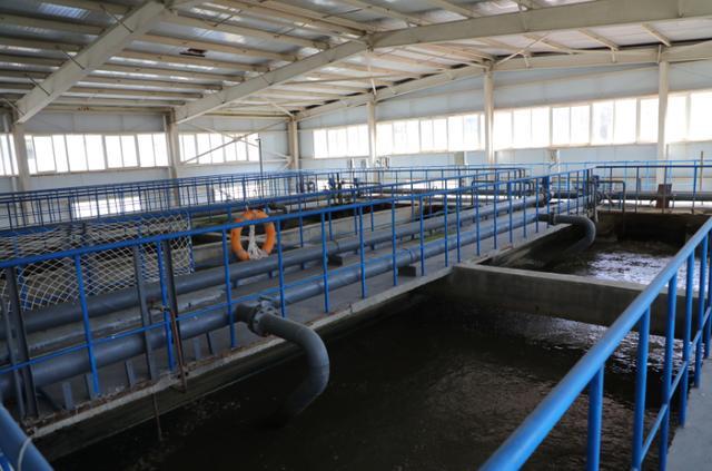  守护那片清凉：宜君人与绿水青山的深情对话 文化旅游