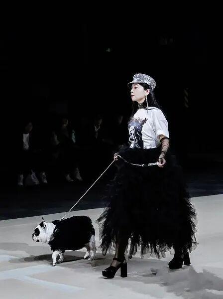  78岁上海奶奶的宠物高定：用一针一线，缝补人与毛孩子之间的深情 情感心理