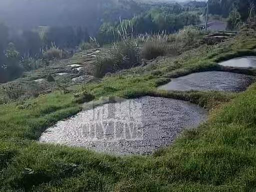  环保监管高压下的养猪场“合规幻象”：技术规范与执法缝隙深度剖析 新闻