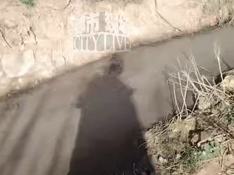  环保监管高压下的养猪场“合规幻象”：技术规范与执法缝隙深度剖析 新闻