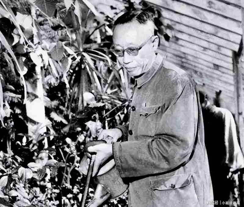 乾隆鼻烟壶鉴伪:1961年北京饭局上的文物判断方法论 文化旅游