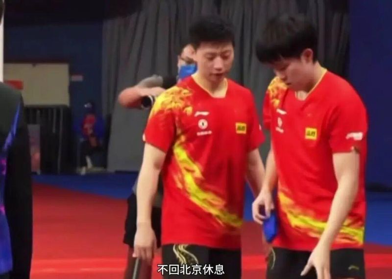 当陪练的代价:国乒系统化训练正在阉割年轻选手的独立战斗本能 体育新闻 当陪练的代价:国乒系统化训练正在阉割年轻选手的独立战斗本能 体育新闻 当陪练的代价:国乒系统化训练正在阉割年轻选手的独立战斗本能 体育新闻