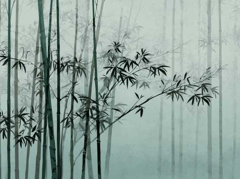 从执行力到财富自由:三个生肖如何用专业能力撬动副业倍增效应 娱乐新闻
