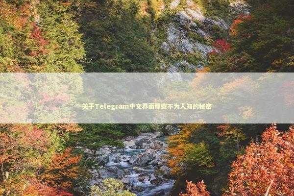 关于Telegram中文界面那些不为人知的秘密 IT技术