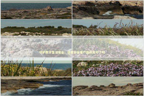 守护数字生活安全：这些安全客户端你用对了吗 IT技术