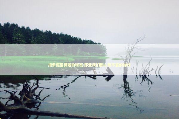 搜索框里藏着的秘密:那些我们都心照不宣的操作 IT技术