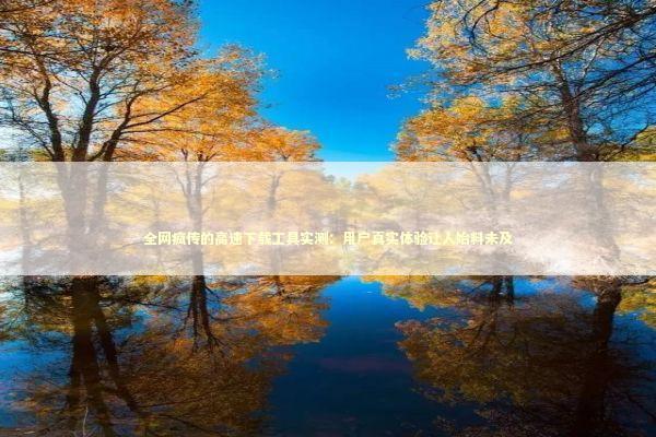 全网疯传的高速下载工具实测：用户真实体验让人始料未及 IT技术