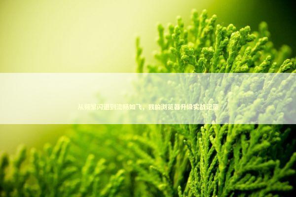 从频繁闪退到流畅如飞，我的浏览器升级实战记录 手机评测