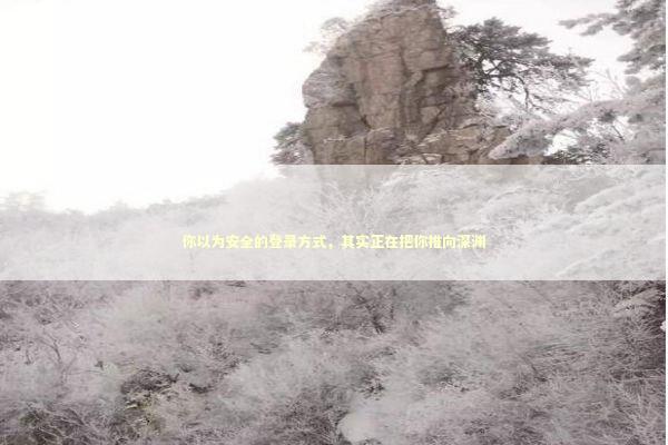 你以为安全的登录方式，其实正在把你推向深渊 IT技术