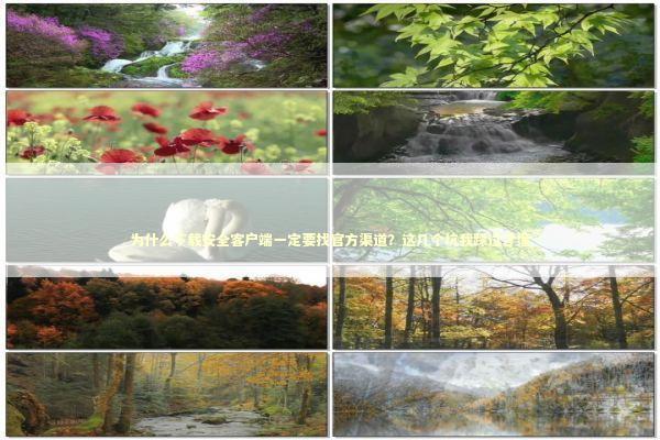 为什么下载安全客户端一定要找官方渠道？这几个坑我踩过才懂 IT技术