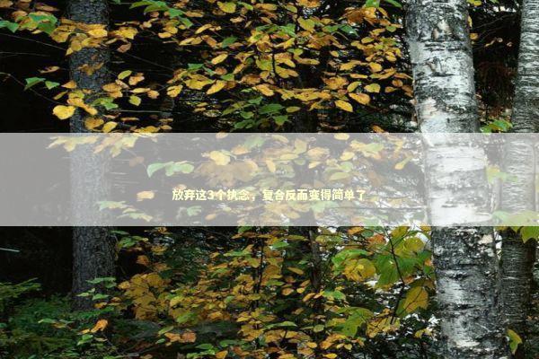 放弃这3个执念，复合反而变得简单了 情感心理