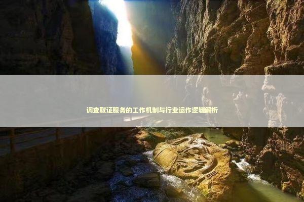 调查取证服务的工作机制与行业运作逻辑解析